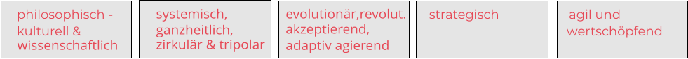 philosophisch -     kulturell &     wissenschaftlich    systemisch,    ganzheitlich,    zirkulär & tripolar                     agil und                              wertschöpfend                      evolutionär,revolut.  akzeptierend,     adaptiv agierend               strategisch