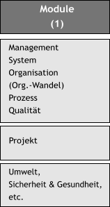 Module (1) Management System Organisation (Org.-Wandel) Prozess Qualität  Projekt Umwelt, Sicherheit & Gesundheit, etc.