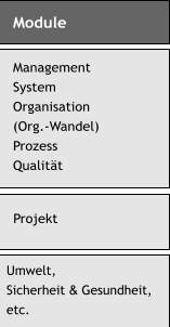 Module Management System Organisation (Org.-Wandel) Prozess Qualität  Projekt Umwelt, Sicherheit & Gesundheit, etc.